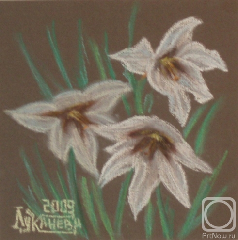 �������. �������� ������. ����������