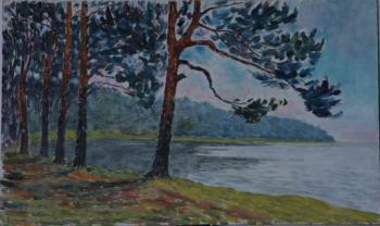 The Black Lake, at the outskirts of Orekhovo-Zuevo (Pinetrees). Filiykov Alexander
