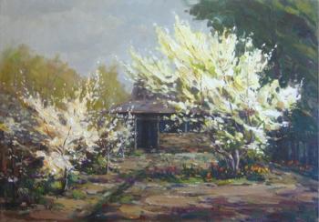 Flowering garden. Katyshev Anton