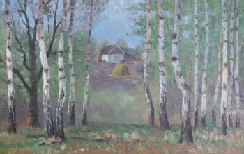 Birches on a hill. Chernyy Alexandr