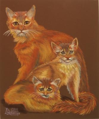 Somali Cats. Lukaneva Larissa