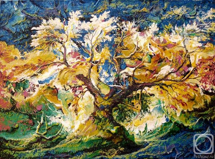 Sizonenko Iouri. The tree in sunbeams