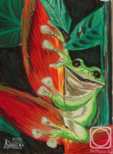Lukaneva Larissa. White tree-toad