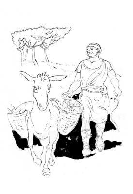 Illustrations to Apuleja�s novel "Metamorphoses"- 11 / 01