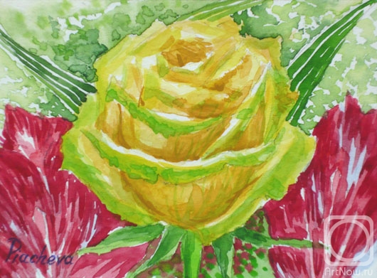 �������. ������� �������. ������ ����