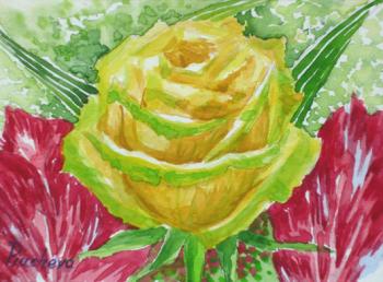 ������� ������� ����