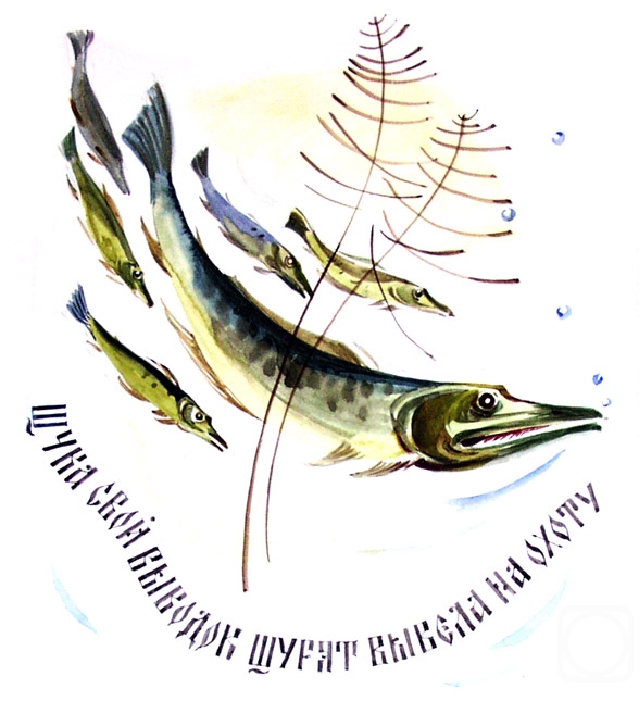 �������. ����������� ����. ����������� � ������������ ������ � 5/93