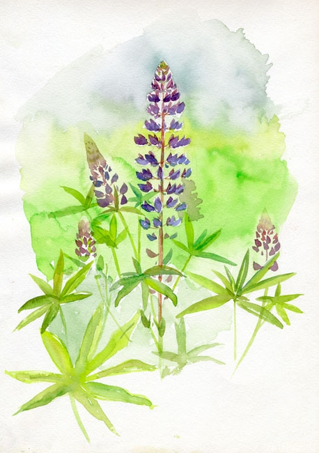 �������. �������� �����. �����. ��������