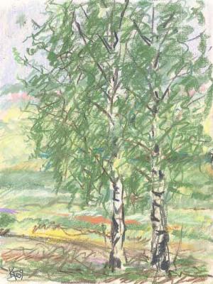 ������� ���� ���������