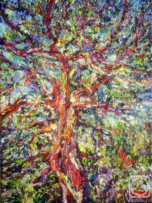 ������� ������ �� ������. ������ �������. �������� ������������