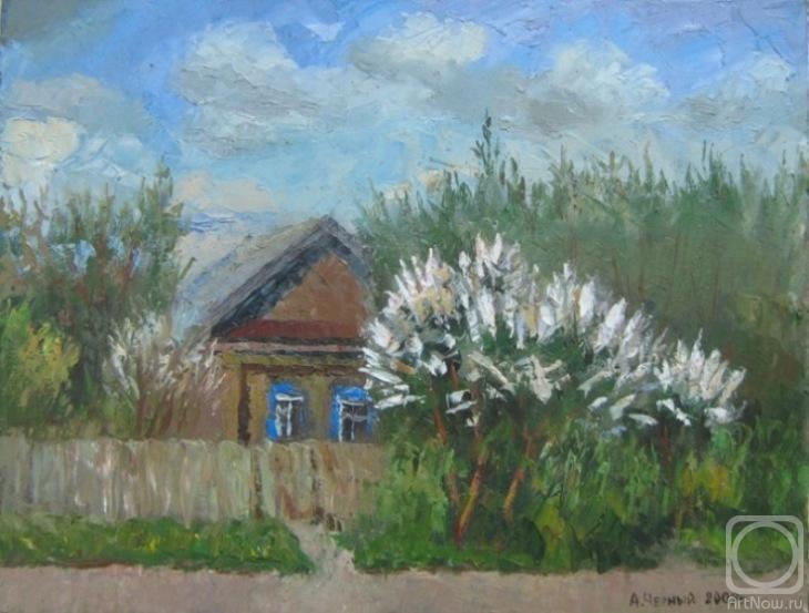 ������� ������ �� ������. ������ ���������. ����� ������