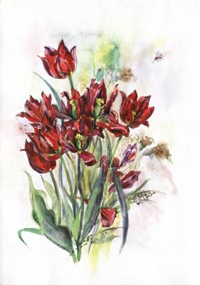 Last tulips