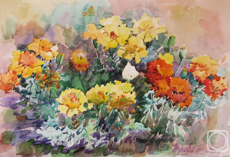 Zhukova Juliya. Marigolds