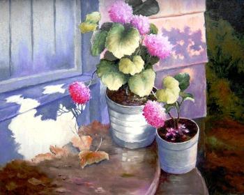 ������� �������� ����