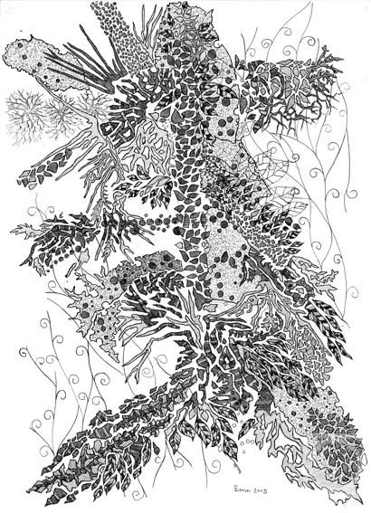 �������. �������� ����. ���������