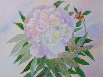 ������� ������ �����