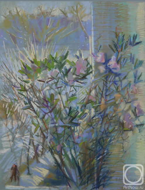 Dyachkova Olga. Ledum. Frost