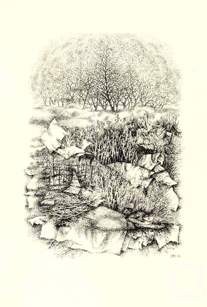 �������. ���������� ���������. ����