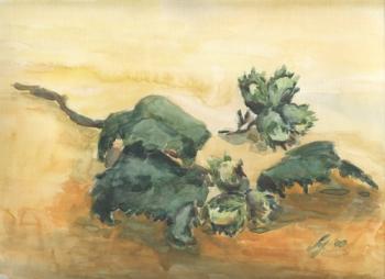 Hazel. Ushakova Maria