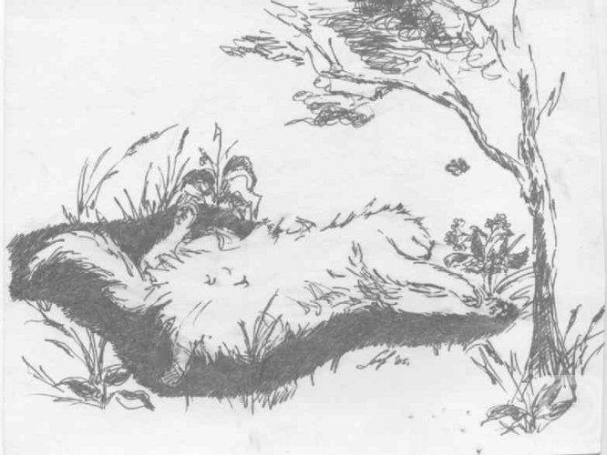 �������. ������� �����. ������