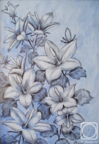 Lambeva Valentina. Campanula