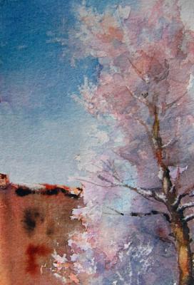 ������� ��������� ����������