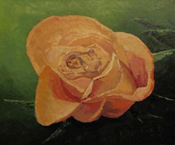 ����. ������� �������