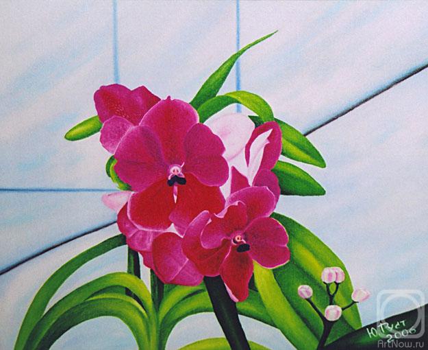 ������� ������ �� ������. ��������� ����. ������� �� ��������