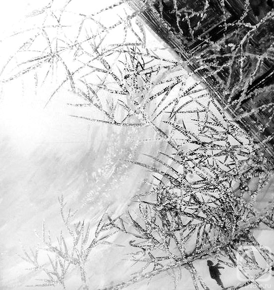 �������. ������� �����. ������� ���� ������