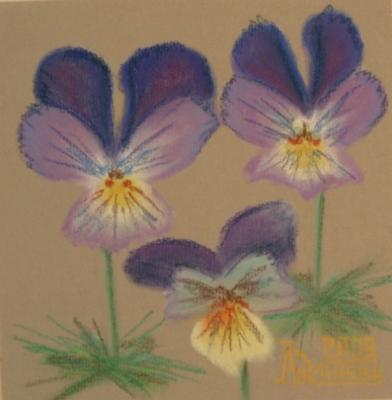 ������� ������� �����������