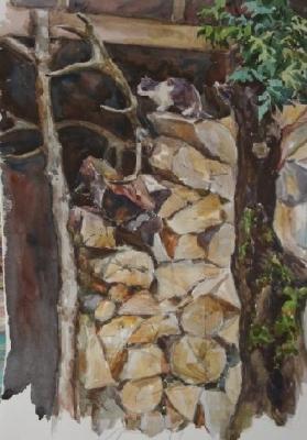 ������� ����