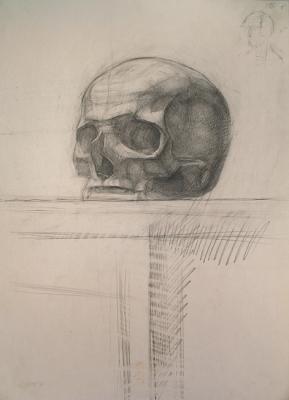 Skull (Cranium) (Graphit Pencil). Yudaev-Racei Yuri