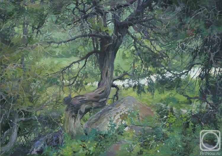 Chernov Denis. In the Tyan-Shan Mountains