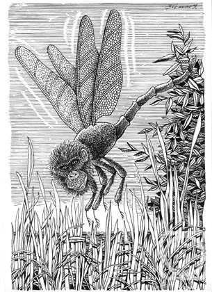 Semerenko Vladimir. Untitled