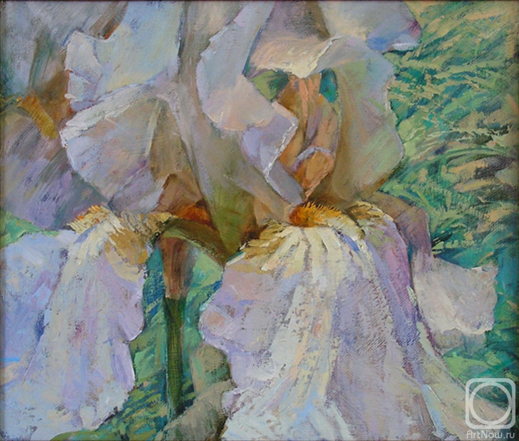 �������. ������ �������. ����