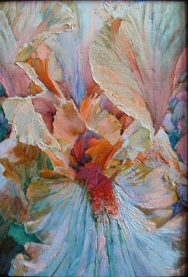 ������� ����������� ������ 3 (�� ��������)�