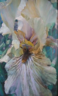 ������� ����������� ������ 5 (�� ��������)�