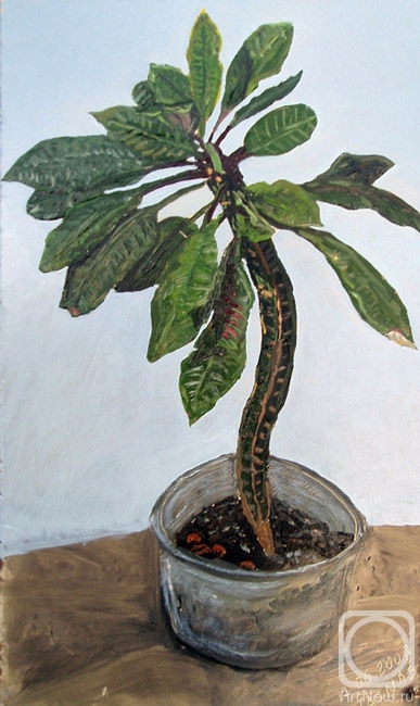 �������. ���������� ���������. ������ � ����� ��������. �. ������������