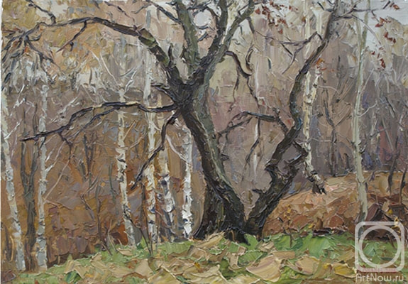 ������� ������ �� ������. ������ ������. ������� �����