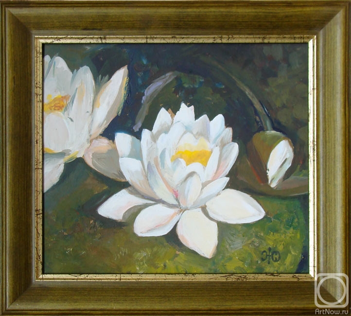 Zhukovskaya Yuliya. Lotuses
