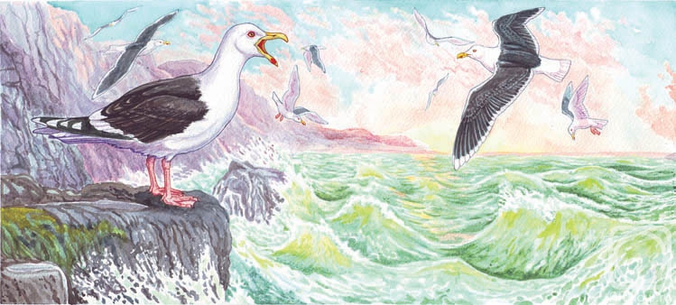 Fomin Nikolay. Sea gull