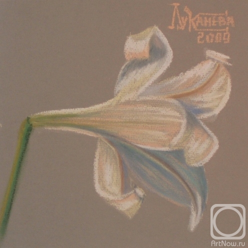 �������. �������� ������. Snow Qween