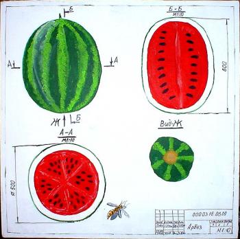 ������� ���������������� ��������� 3�