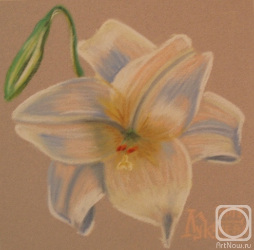 �������. �������� ������. Snow Qween 2