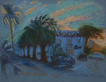 It is getting dark. Dyachkova Olga