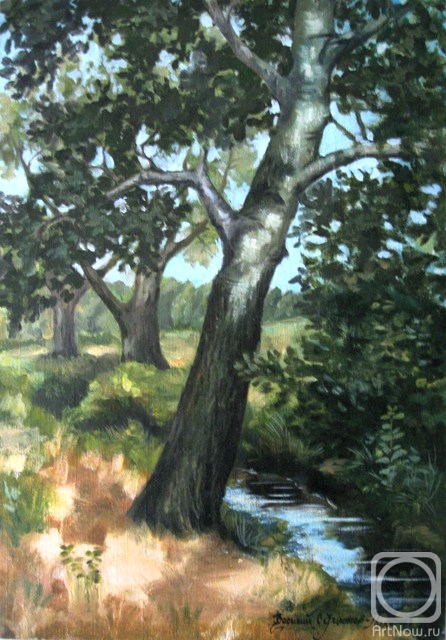 Pohomov Vasilii. rill