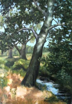 ������� ������