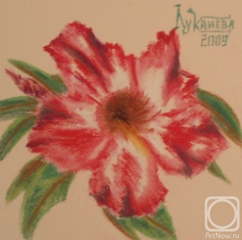 �������. �������� ������. �������