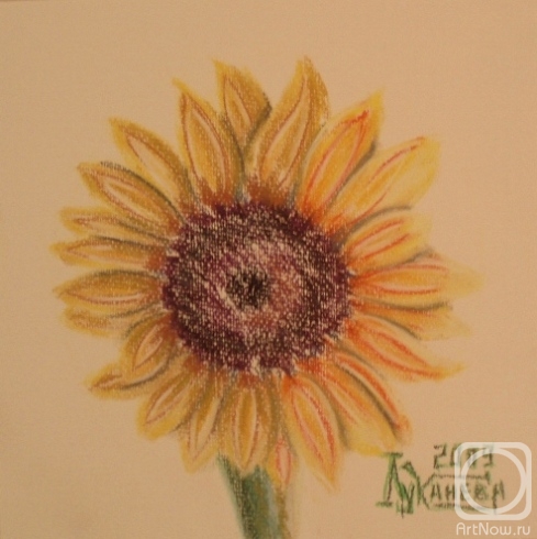 Lukaneva Larissa. Ornamental Sunflower