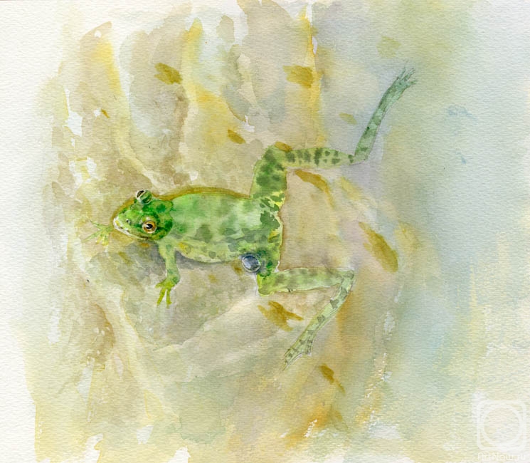 �������. �������� �����. �������